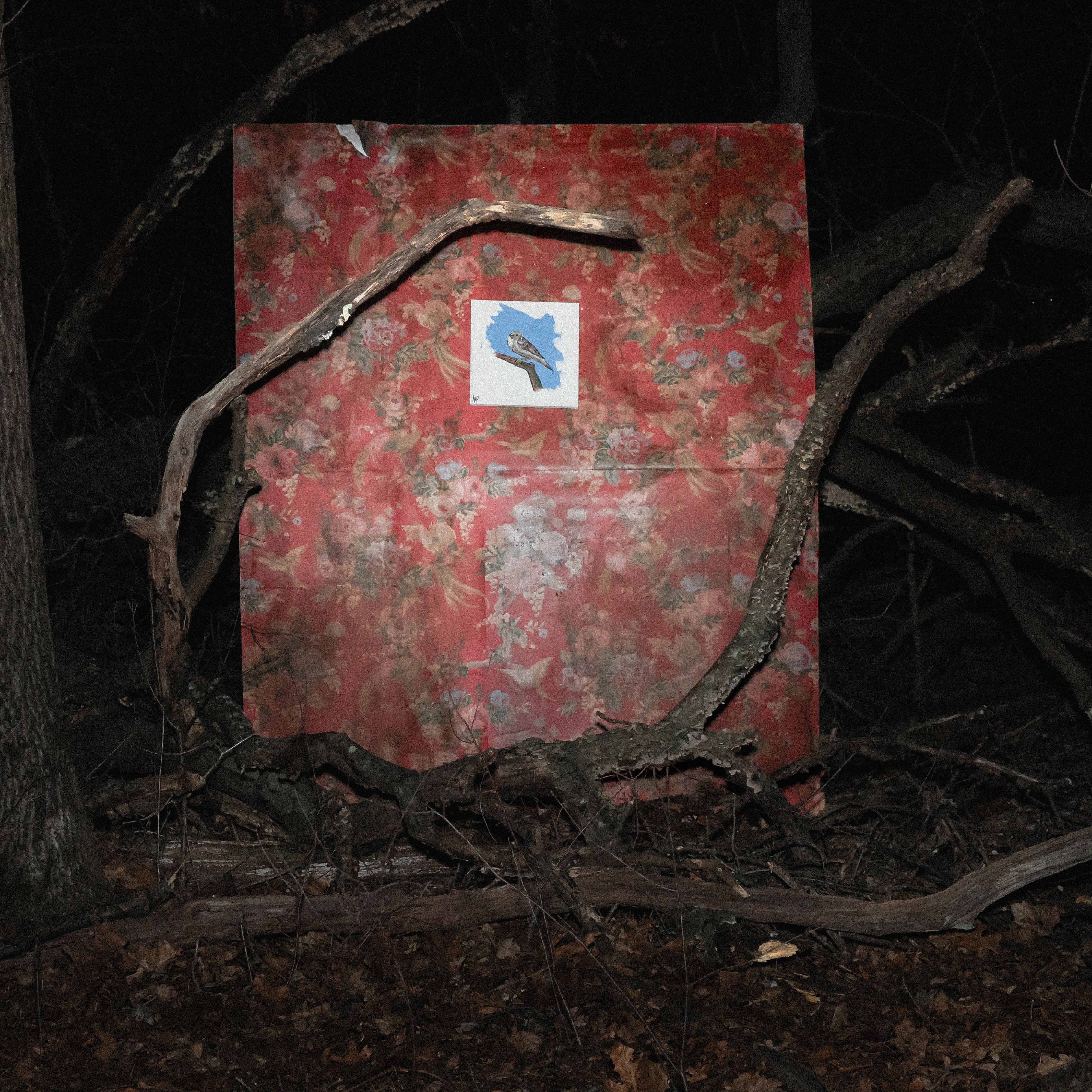 the artwork for Rail
